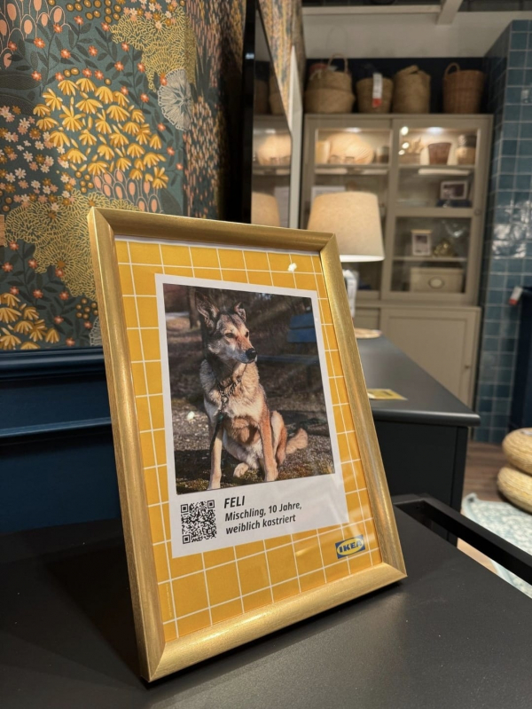 IMG-20251012-WA0031.jpg IMG-20251012-WA0031.jpg