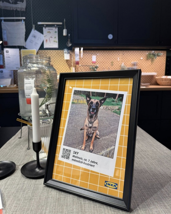 IMG-20251012-WA0033.jpg IMG-20251012-WA0033.jpg